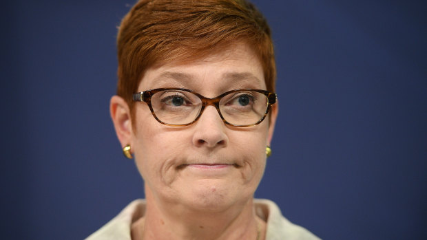 Marise Payne will be appointing a friend and political ally, with no previous diplomatic experience, as High Commissioner to New Zealand.