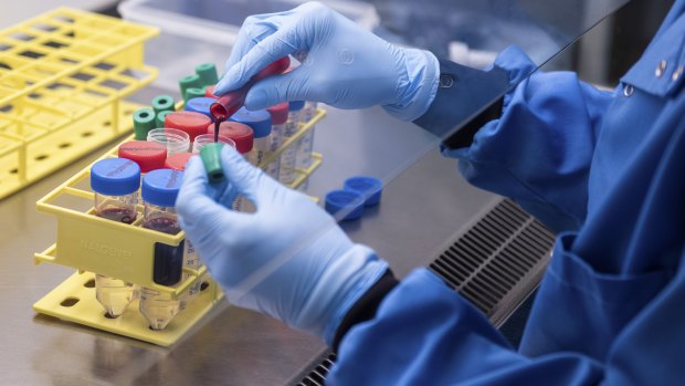 Blood samples from coronavirus vaccine trials are handled in the University of Oxford's Jenner Institute. 