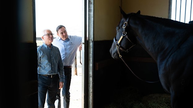 Tony O’Driscoll of Newgate Stud Farm and Hunter Thoroughbred Association president Cameron Collins with stallion North Pacific.