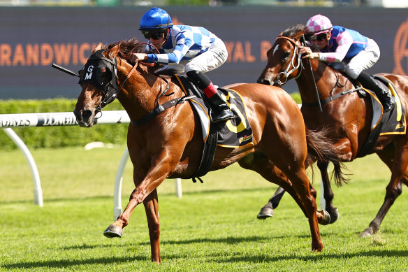 Either Oar extends away from rivals to win first up at Randwick last month.