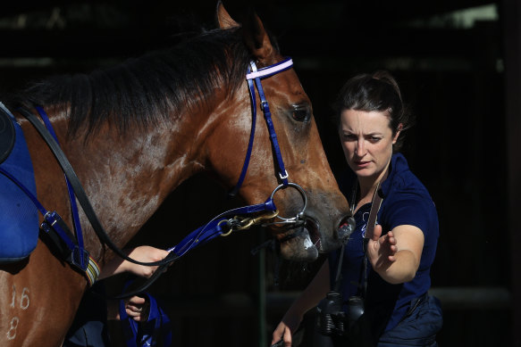 Emerging trainer Annabel Neasham has some high-quality horses to work with.
