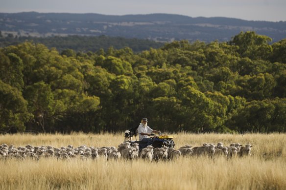 Farmers are warning that the federal government’s climate policy could have adverse impacts on agricultural production.