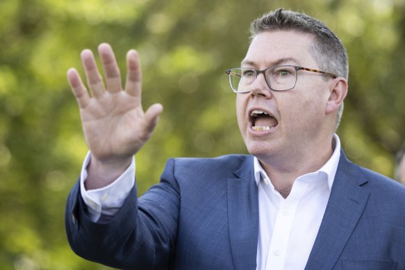 Minister for International Development and the Pacific Pat Conroy.