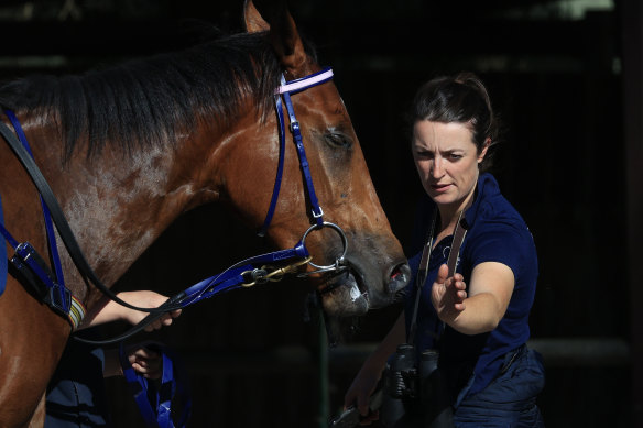 Trainer Annabel Neasham.