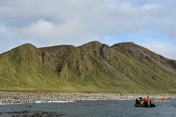 Cruising the shoreline in Lusitania Bay.