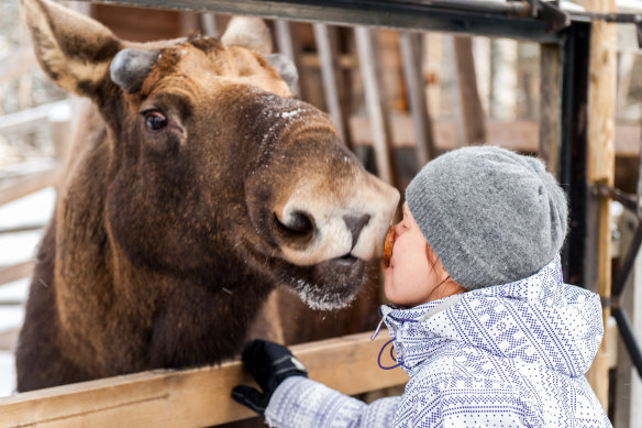 How to be happy in Finland
