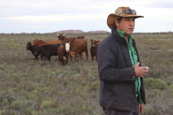 David Pollock on Wooleen.