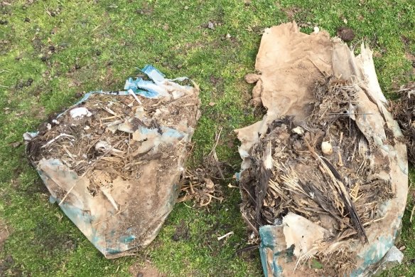 Four properties in Tubbut and Orbost in East Gippsland were raided by DELWP in June, uncovering more remains. 