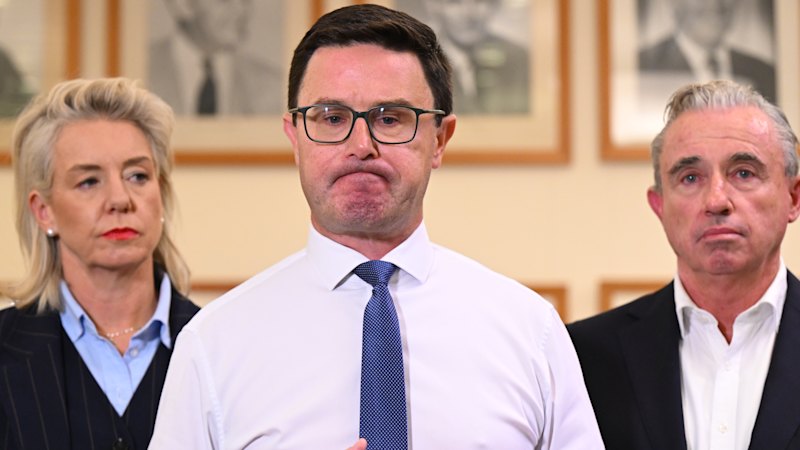 Conscious uncoupling comes to Canberra as the Coalition splits up