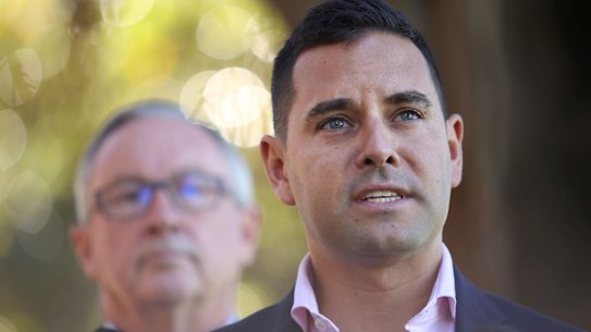 Greens MP Alex Greenwich dissented fro the majority.