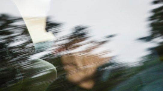 Informant told growers plantation was 'Winchester's project', trial hears