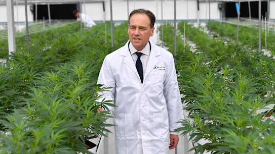 Federal Health Minister Greg Hunt surrounded by rows of cannabis.