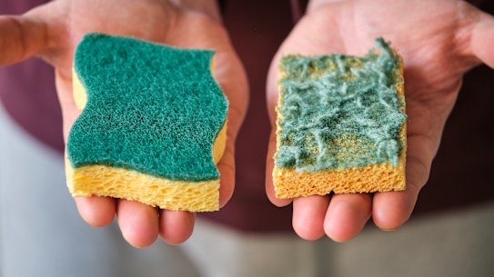 Are you changing your sponge as often as you should? Probably not.