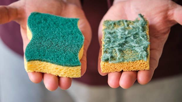 Do you know how often to replace your sponge? How about your mattress?