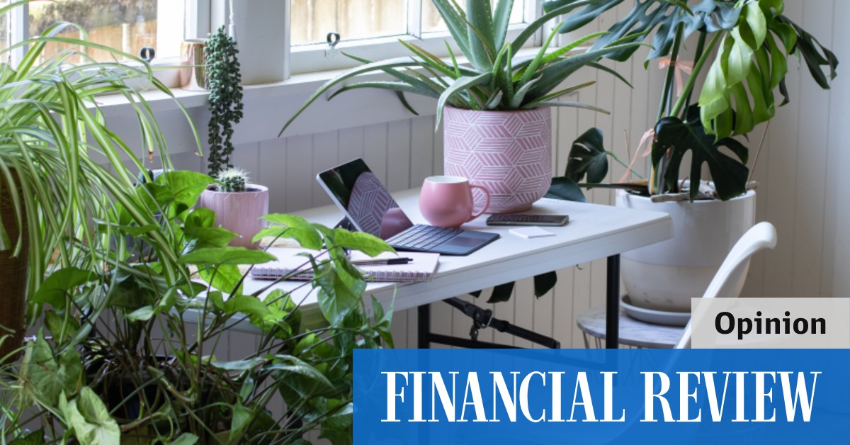 How to make your investment property the one that tenants want