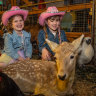 Melbourne Royal Show moves to calm the farm with return to rural roots