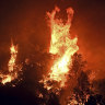 Emergency declared as wildfire erupts near Yosemite