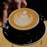 A flat white from Craftwork Roasting Co.