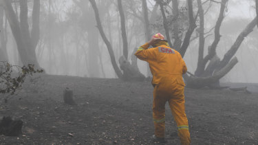 A CFA firefighter is seen in burnt out land near Mount Glasgow, Victoria, Thursday, November 21, 2019