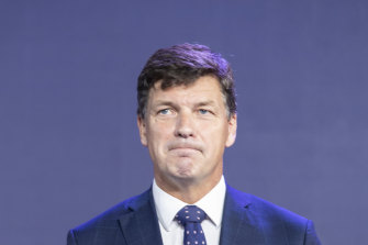 Energy Minister Angus Taylor says the new gas plant is needed to replace the Liddell coal-fired power plant scheduled to close in 2023.