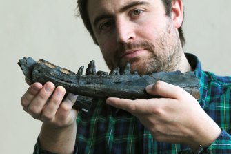  Dr Erich Fitzgerald holds the Janjucetus whale jawbone specimen. 
