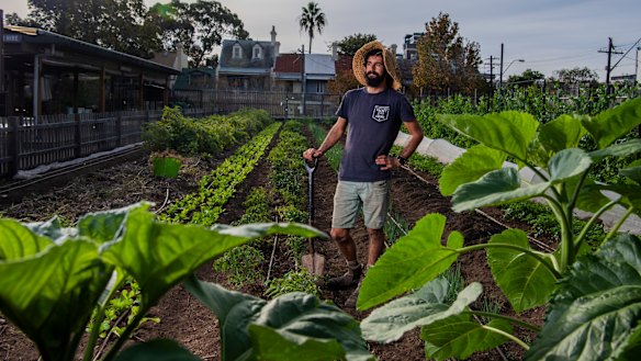 Michael Zagoridis is one of the managers at Pocket City Farms in Campberdown says using too much chemical herbicide and fertiliser is 'digging a hole for future generations'.