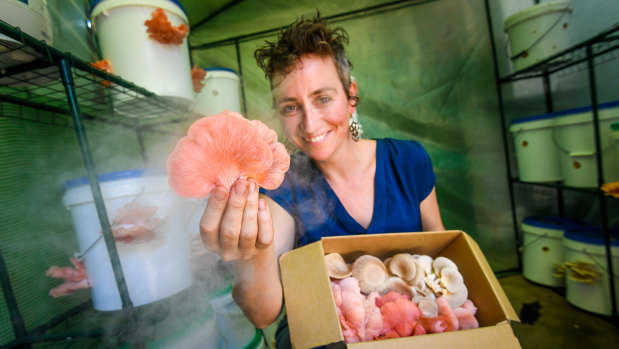 Julia Laidlaw runs a commercial mushroom farm out of her Carlton car port.