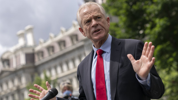 Peter Navarro, director of the National Trade Council, is a critic of Fauci in Trump's administration.
