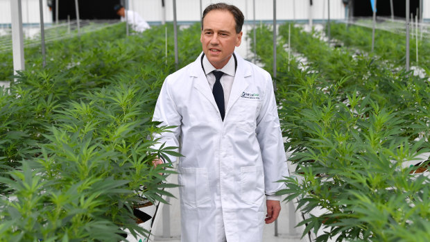Federal Health Minister Greg Hunt surrounded by rows of cannabis.