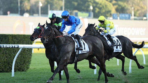 Josh Parr wins on Pericles at Randwick.