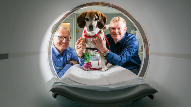 Hoover poses with Brisbane Veterinary Specialist Centre owner and small animal surgery specialist Rod Straw and University of Queensland Associate Professor Kristofer Thurecht.