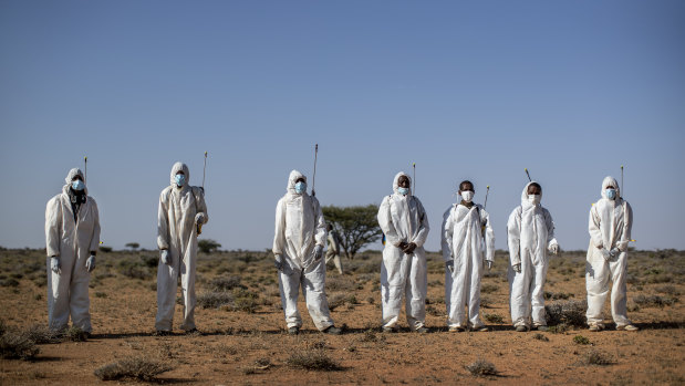 Pest-control sprayers demonstrate their work on thorny bushes in the desert - the breeding ground of desert locusts in Garowe, Somalia.