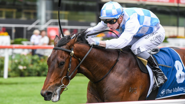 Ocean Beyond, ridden by Harry Coffey wins at Moonee Valley on Saturday.