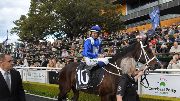 Amazing: Winx continues to improve heading into Saturday's Colgate Optic White Stakes.