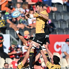 Sam Carter of the Force wins a lineout.