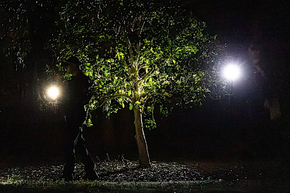 Police search a park for the gun used in the shooting of the boy.