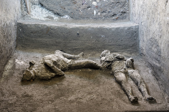 The casts of what are believed to have been a rich man and his male slave who died while fleeing the volcanic eruption of Vesuvius nearly 2000 years ago.