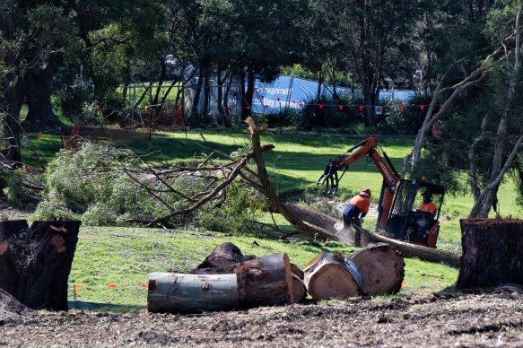 Hundreds of trees have been cut down for the upgrade. 