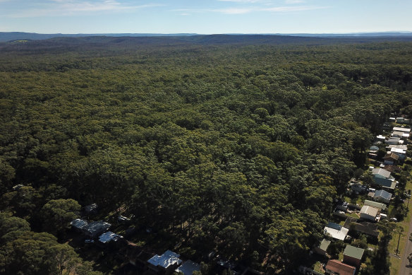 Developers have temporarily halted plans to develop unburnt forest land near the town of Manyana on the NSW South Coast after protests.
