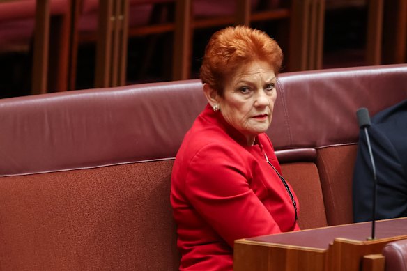 Pauline Hanson in the Senate on Tuesday.