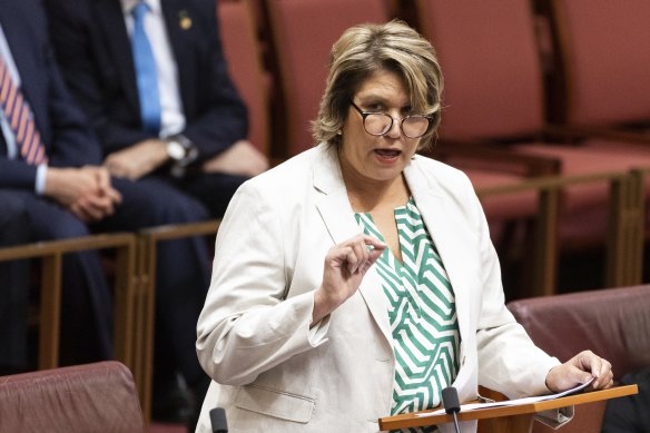 Liberal senator Kerrynne Liddle backs Peter Dutton’s opposition to the Voice.