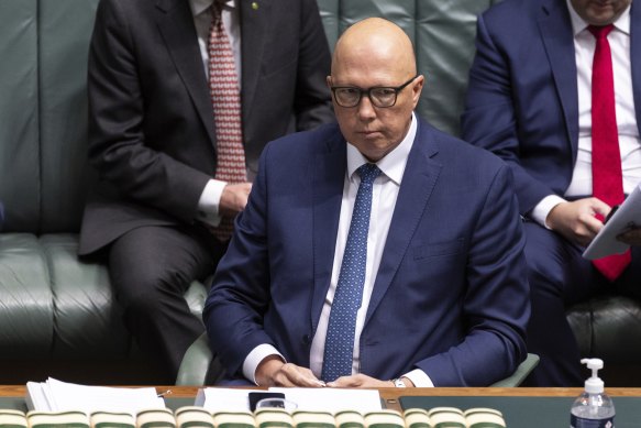 Opposition Leader Peter Dutton during Question Time this week.