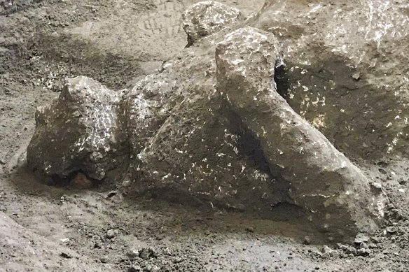 The cast of a Pompeii victim.