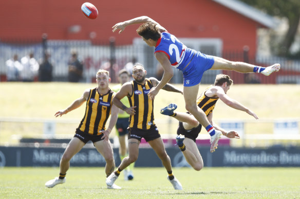 Young Dog Laitham Vandermeer shows his new tricks.