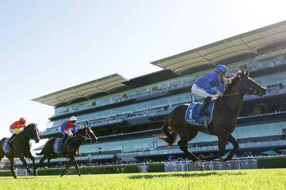 Anamoe is a $4.50 equal favourite for next month’s Golden Rose.