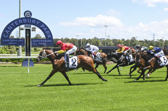 History could show Militarize’s win at Canterbury could be one of the best maidens in Australia as Queen Of Dragons and Wymark emerge as group 1 contenders.