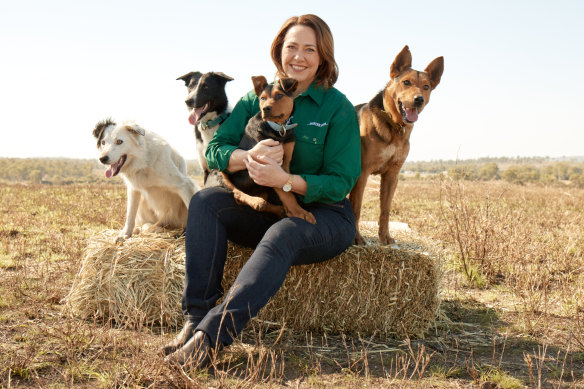 ABC News Breakfast co-host Lisa Millar returns to narrate season two of Muster Dogs.