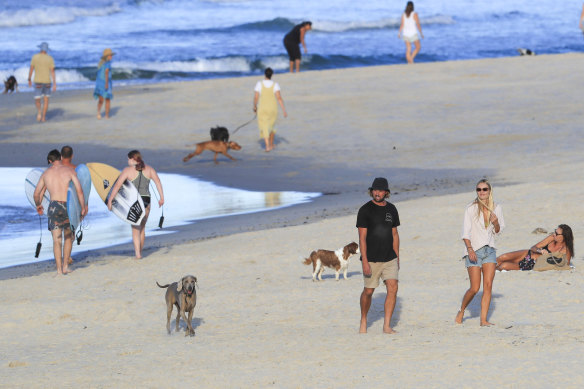 Byron Shire has a number of off-leash beaches.