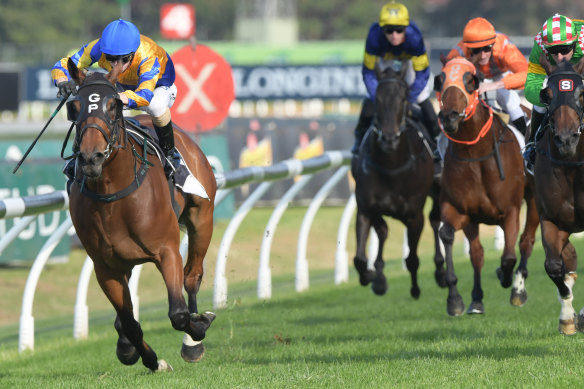 Gary Portelli expects a fresh Strome to return to form at Randwick on Saturday.