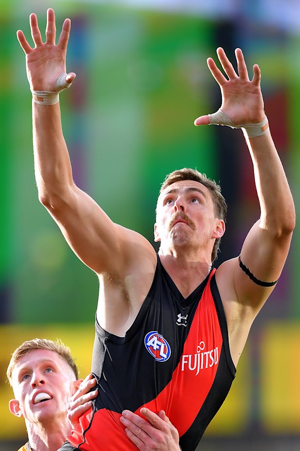 Joe Daniher flies high.